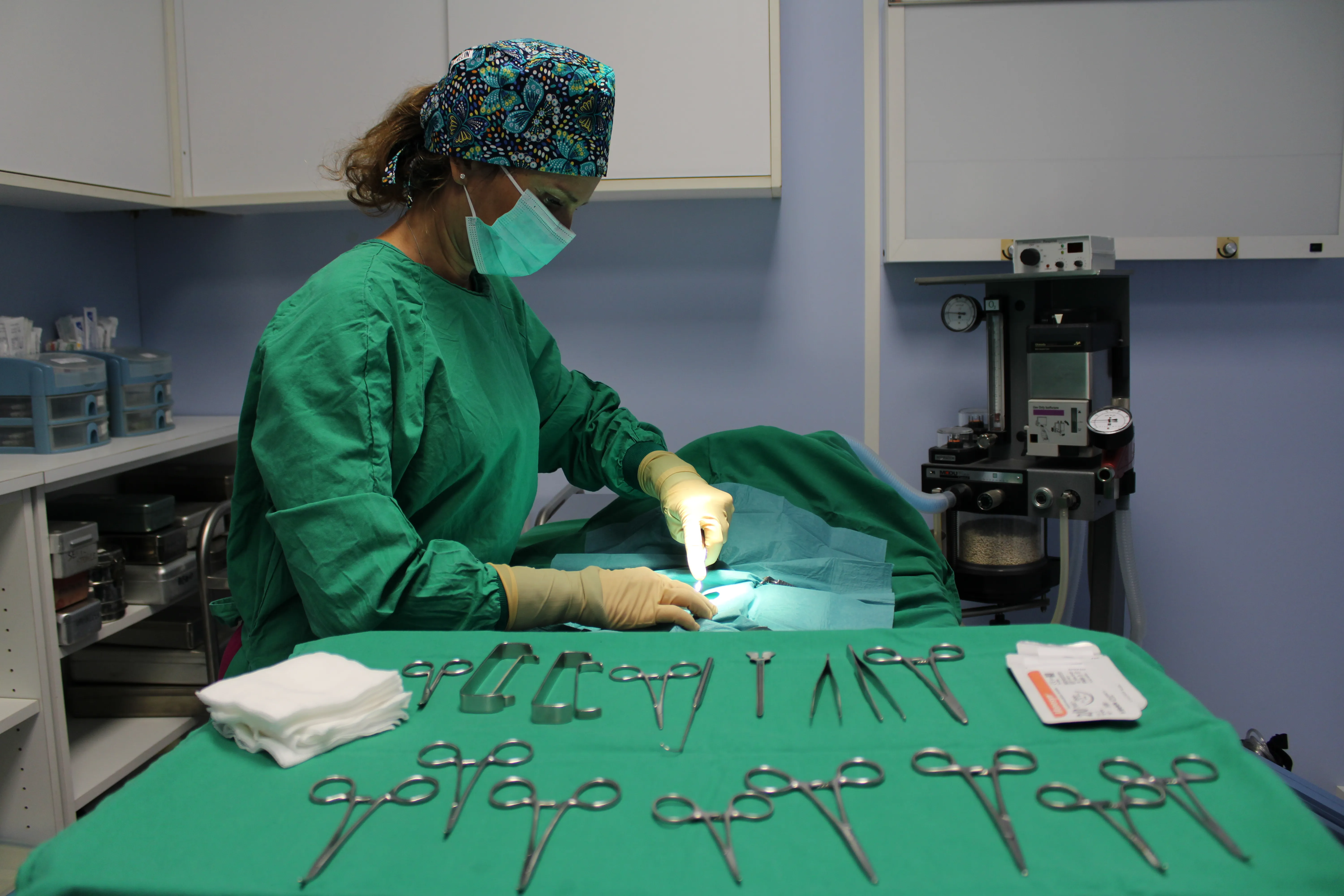Chirurgie