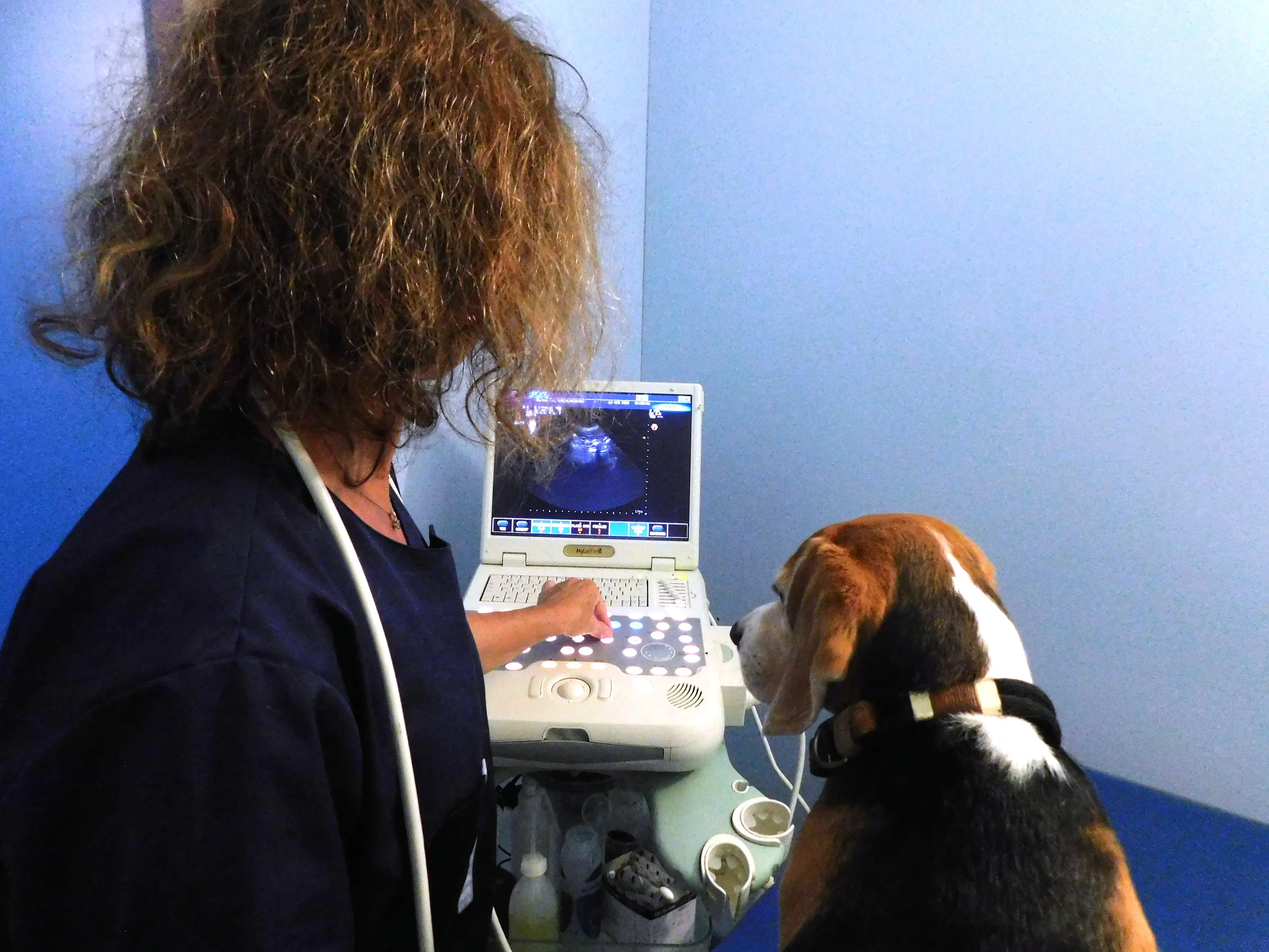 Echography