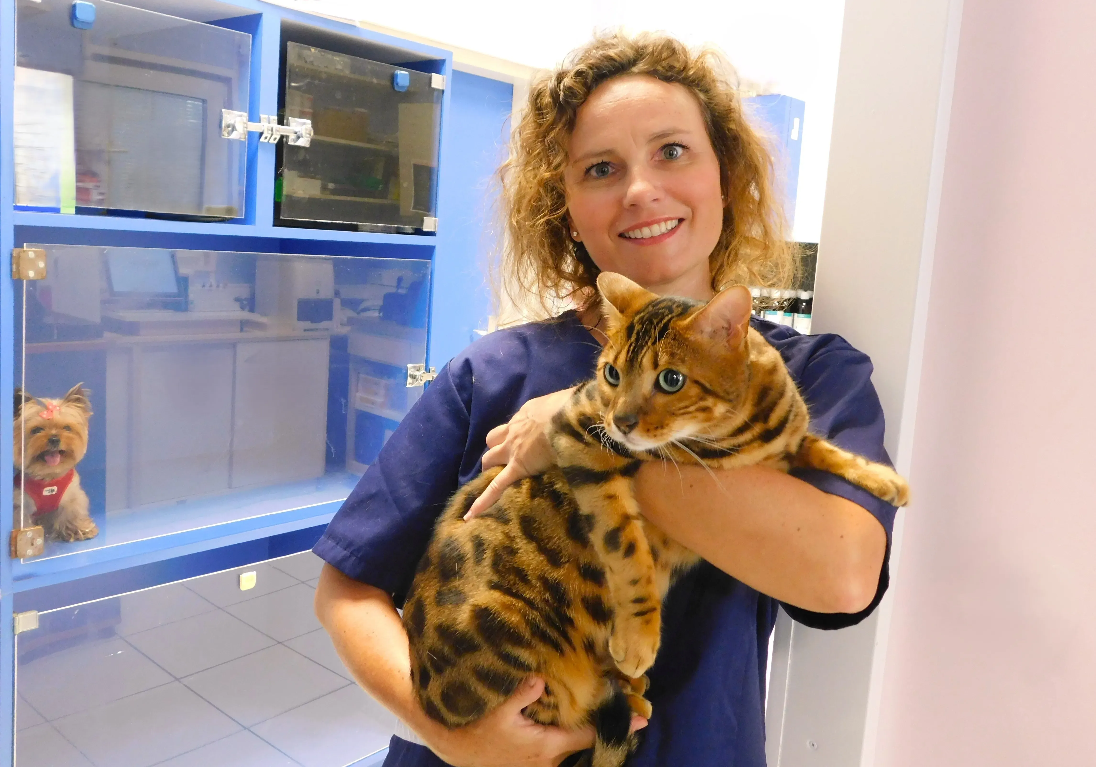 Ricovero ospedaliero
