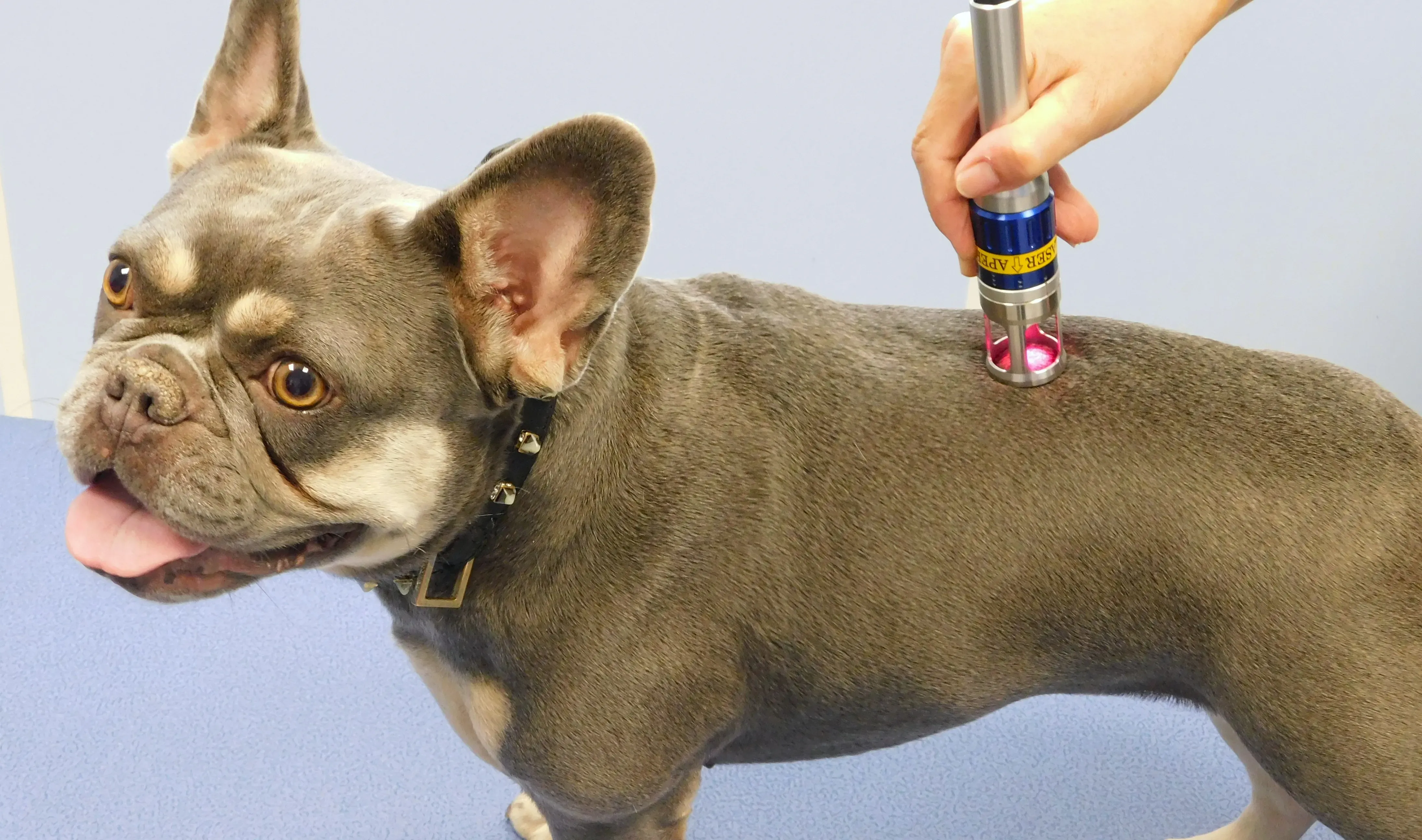 Laser therapy