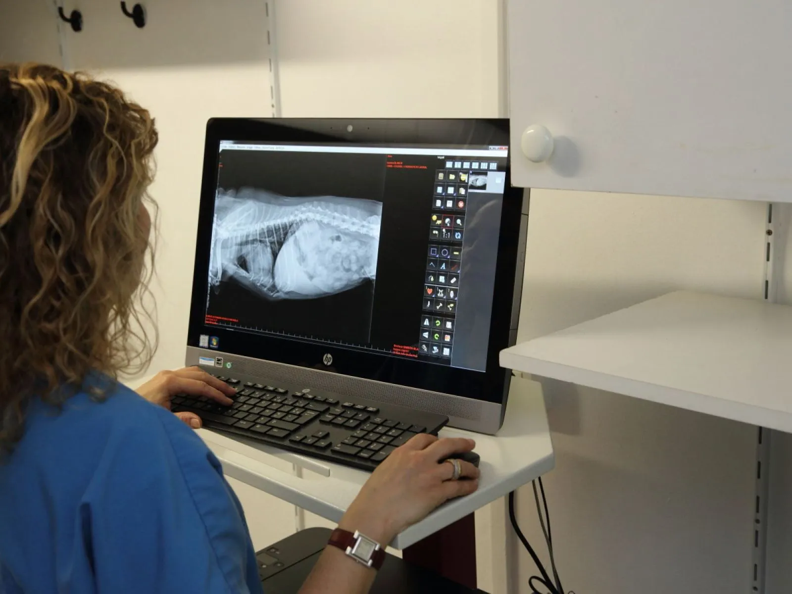 Radiologie